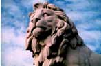 European Photography / English Photography / London Photography by Grabo':  "Proud British Lion" guarding the bridge to Parliament.  London.  Photo from Grabo's European photography collection.  Click here to see it up close & personal.